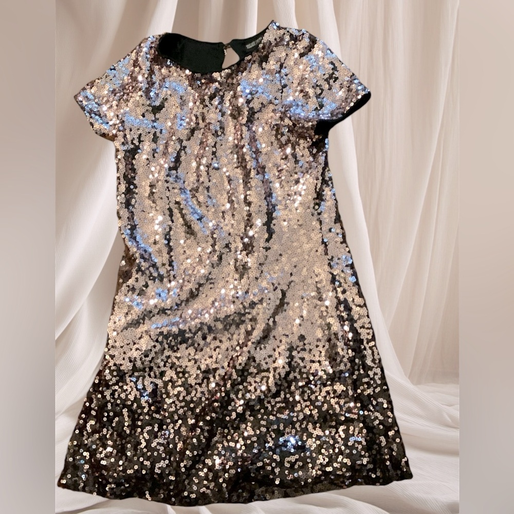 Rose Gold Shimmering Dress